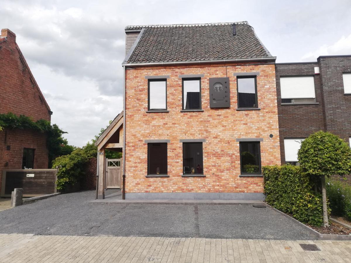 B&B Fagus Buggenhout Eksteriør bilde